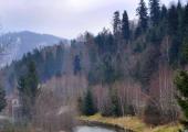 <ALT> Atrakcje Gminy Brenna, Rzeka Brenica