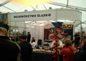 <ALT> Ludzie odwiedzający stoisko - Targi Atrakcje Regionów 2016